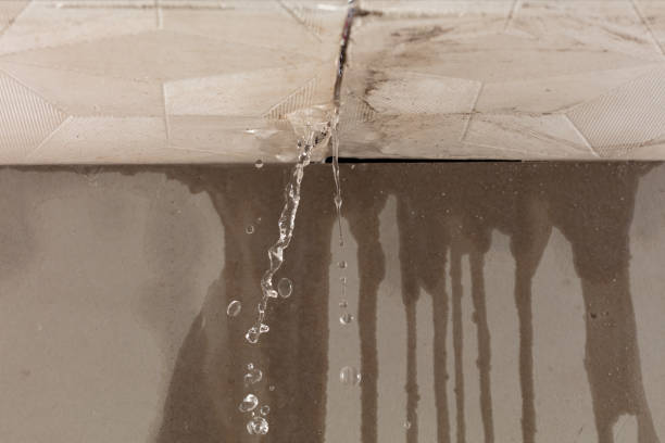Professional Commercial Water Damage Restoration technician working in Irons, MI
